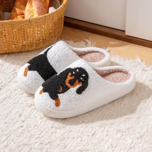 Dog Slippers