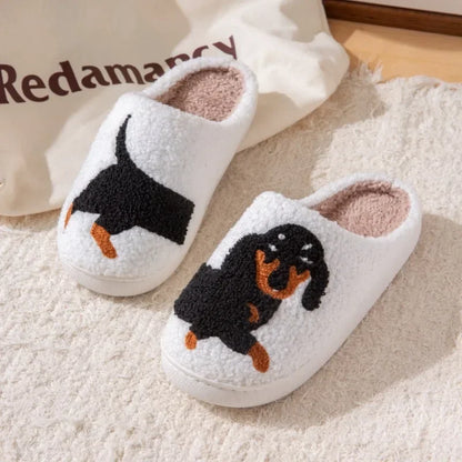 Dog Slippers